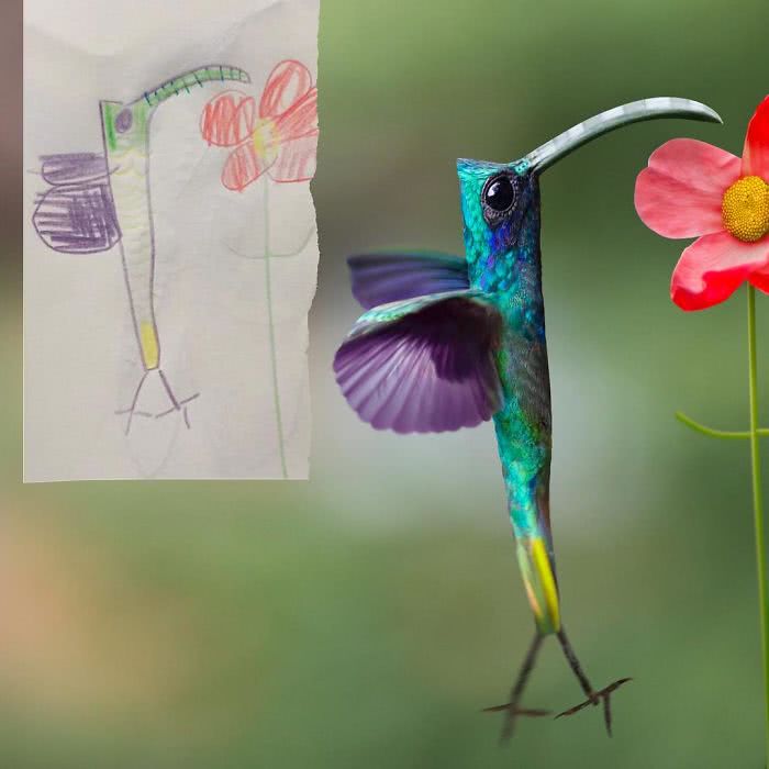 Beija-flor desenhado por uma criança e transformado em realidade por photoshop