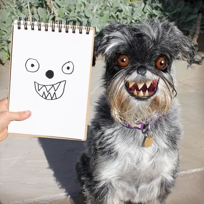 cachorro risonho desenhado por uma criança e transformado em realidade por photoshop