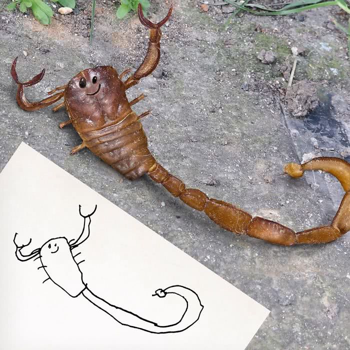 Escorpião desenhado por uma criança e transformado em realidade por photoshop
