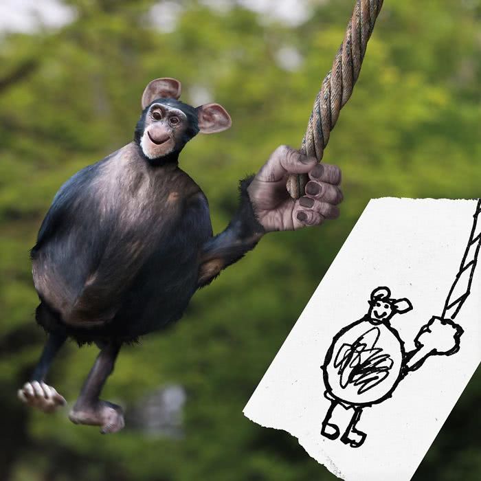 Chimpanzé desenhado por uma criança e transformado em realidade por photoshop