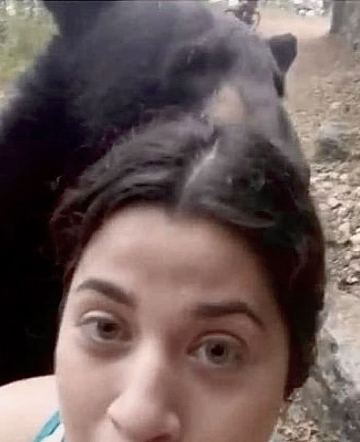 Mulher corajosa tira selfie com o urso selvagem