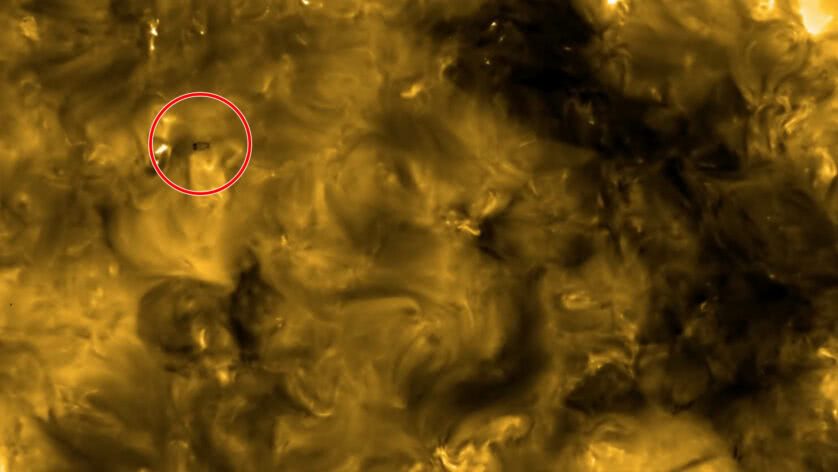 Tardígrado solar em imagem da sonda Solar Orbiter