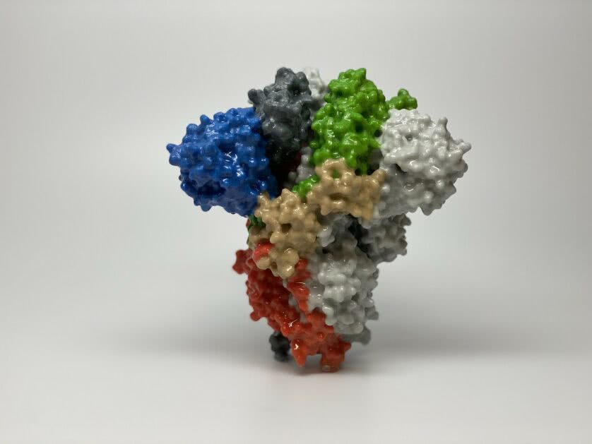 Proteína espinho do SARS-CoV-2 coronavírus