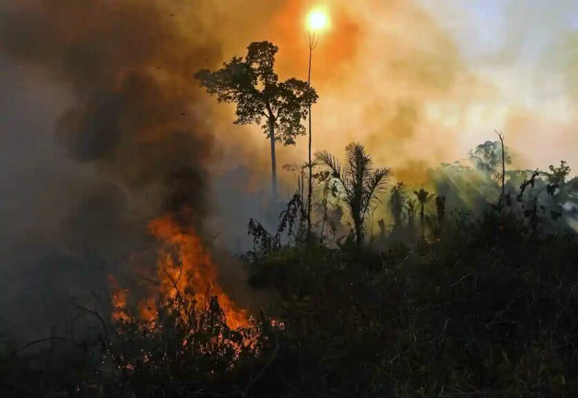 Amazônia em chamas