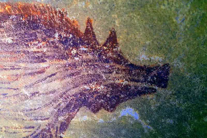 pinturas rupestres de animais mais antigas do mundo