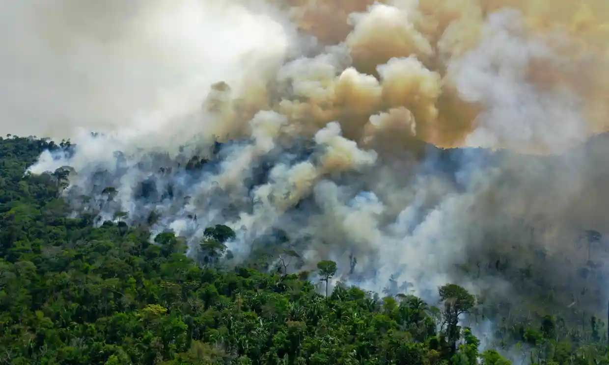 Floresta amazônica agora emite mais CO2 do que absorve